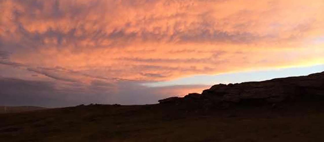 1526172430545147.jpg 002.jpg