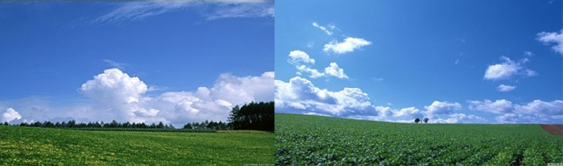 1526174390361746.jpg 內(nèi).jpg