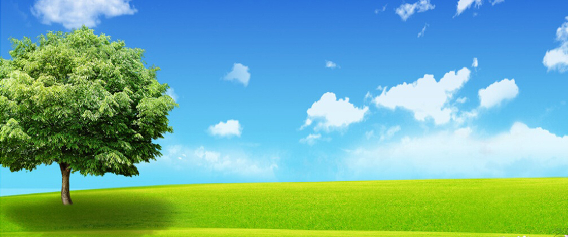 1526175411337750.jpg 內(nèi)2.jpg