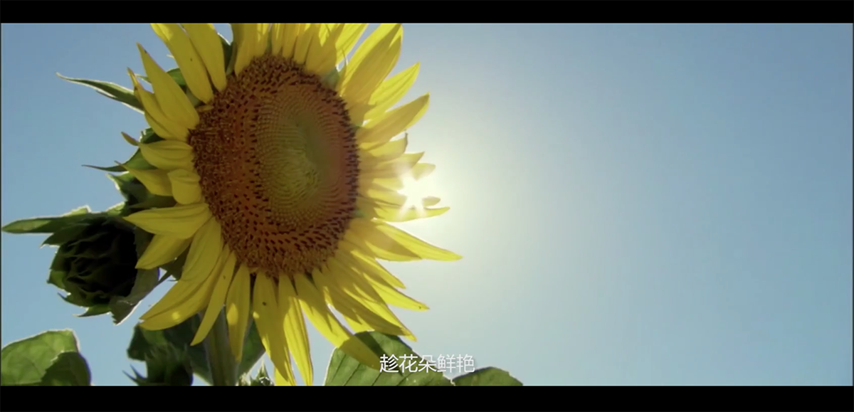 1531188131105772.png 屏幕快照 2018-06-07 19.58.25.png