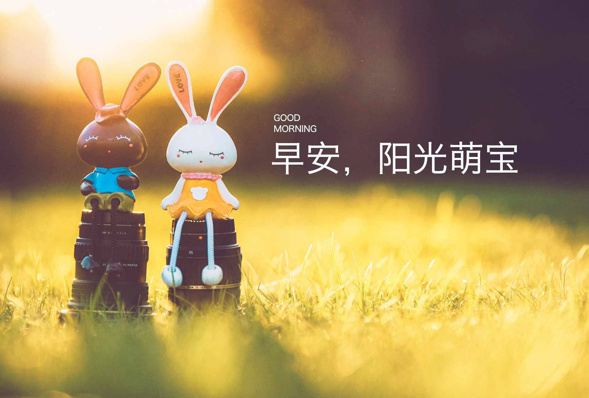 1531191662830975.jpg 500539342_banner副本.jpg