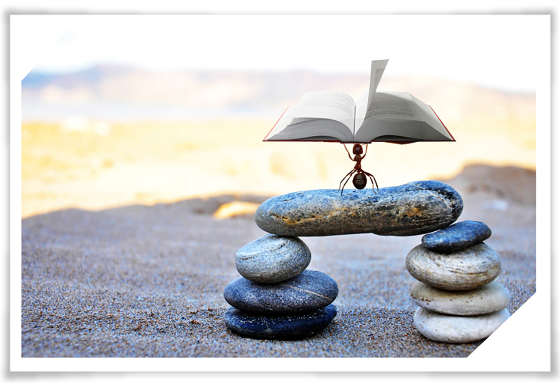 1643275434546071.jpg 1546051607411838.jpg